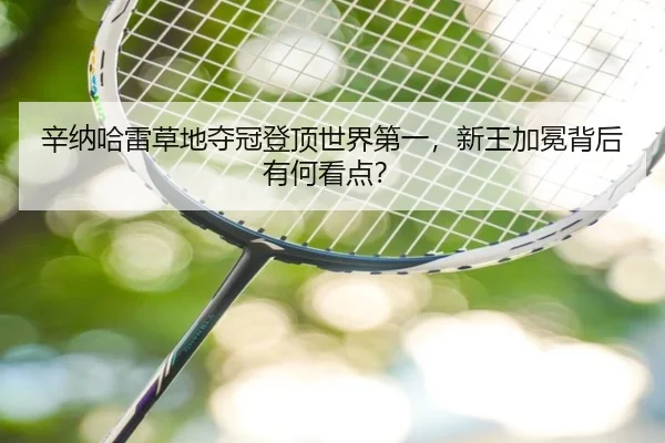 辛纳哈雷草地夺冠登顶世界第一，新王加冕背后有何看点？（ayx）